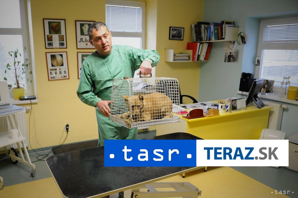 Situácia s veterinárnymi liečivami je na Slovensku štandardná