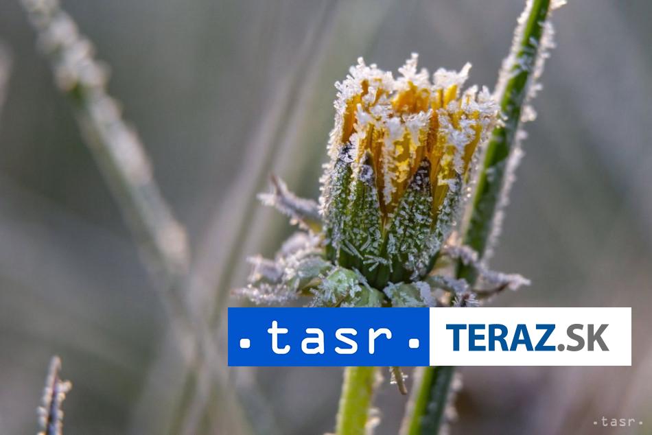 Photo: teraz.sk Slovaquie et République tchèque : Alerte au Gel pour la Végétation ce Week-end