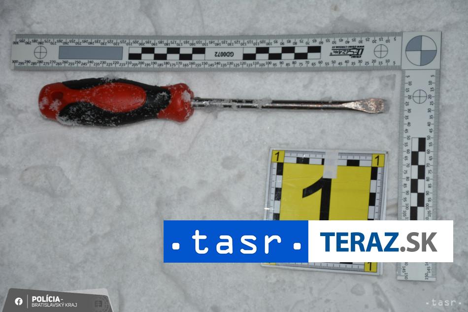 Viackrát sa vlámal o parkovacích automatov, zadržala ho polícia