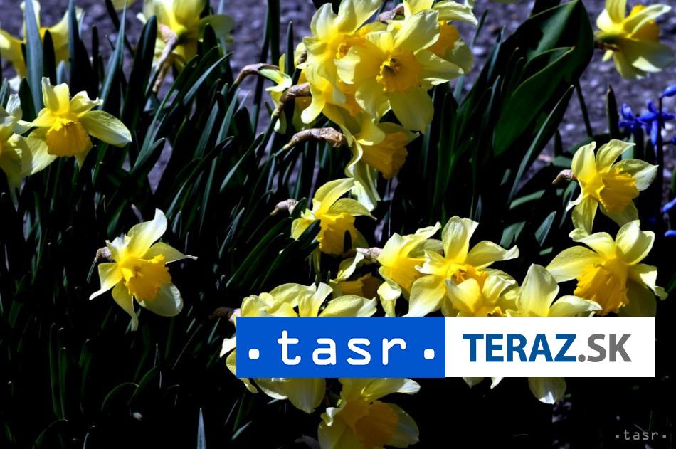 SHMÚ: Veľký piatok prináša popoludní relatívne príjemné jarné počasie